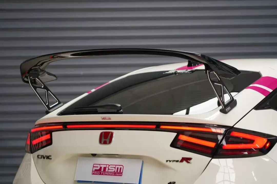 PTISM FL5 carbon GT wing
